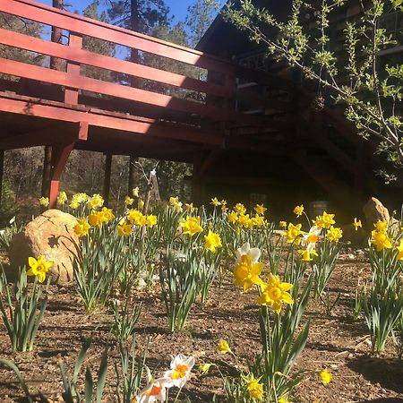 Ahwahnee-Be Vintage Cabin - Walk To Town! Idyllwild Exterior foto