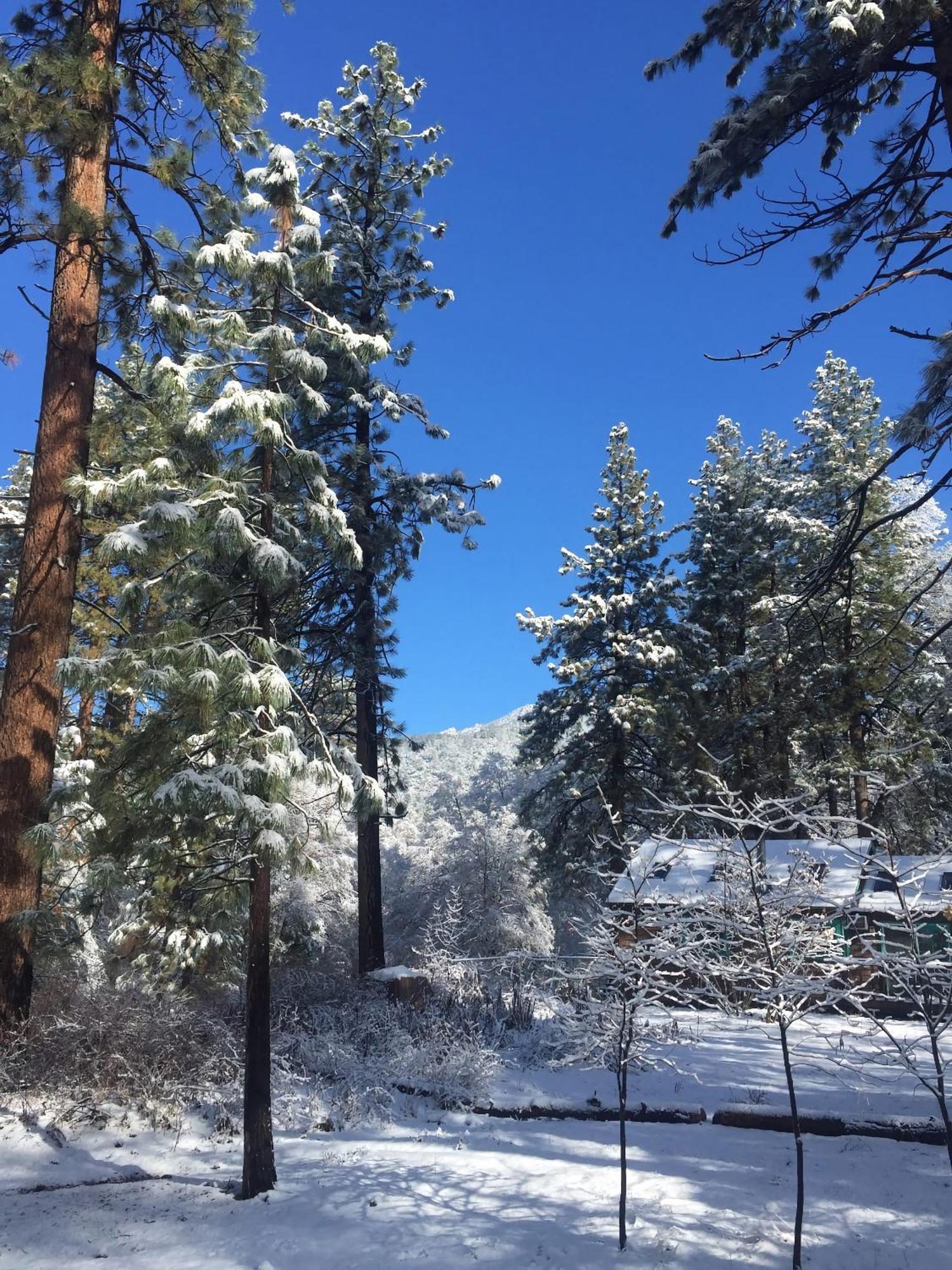 Ahwahnee-Be Vintage Cabin - Walk To Town! Idyllwild Exterior foto