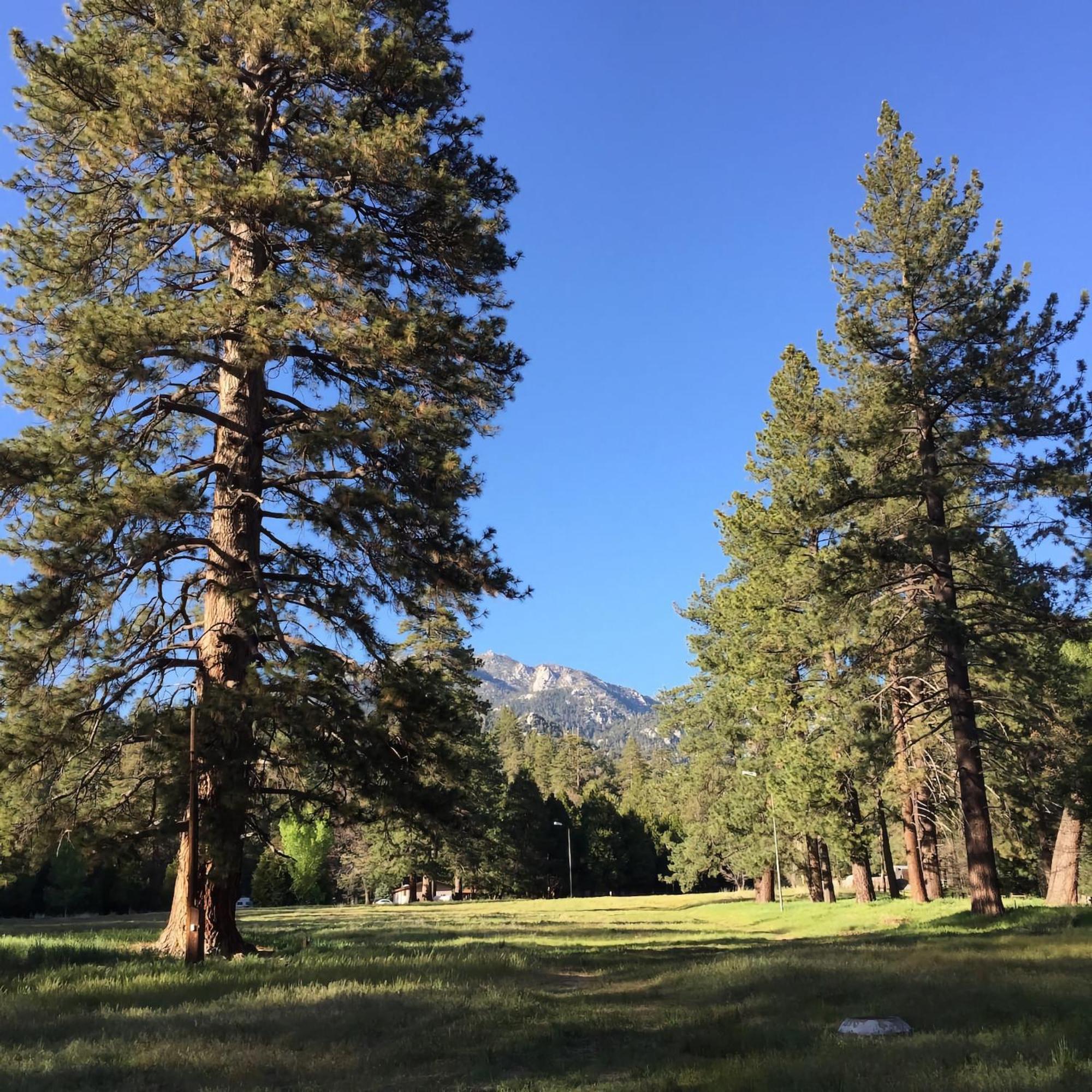 Ahwahnee-Be Vintage Cabin - Walk To Town! Idyllwild Exterior foto